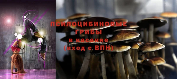 гидра Нея