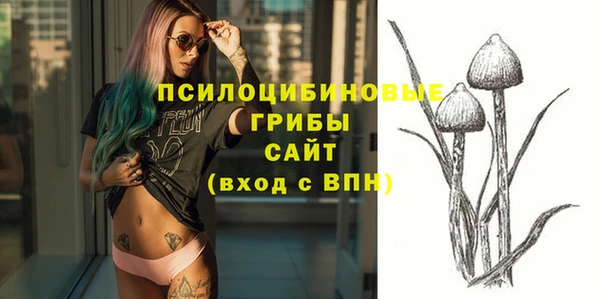гидра Нея