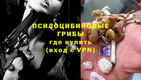 гидра Нея