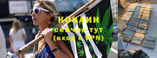 гидра Нея