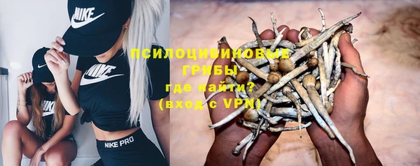 гидра Нея